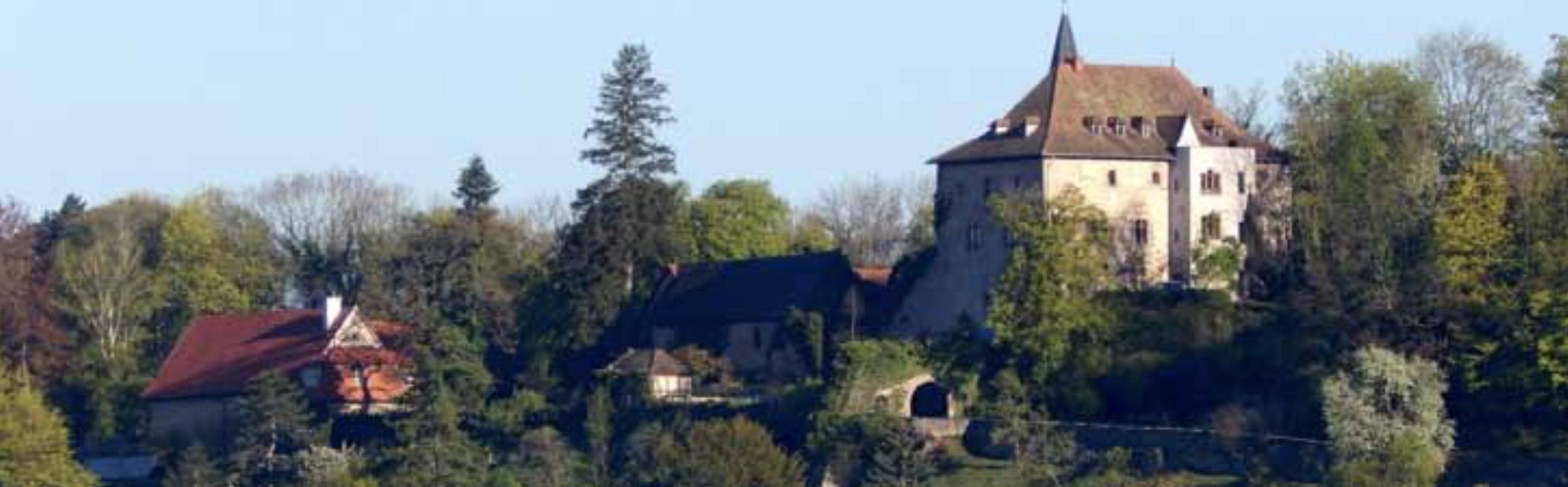 20241025 Brandenstein Burg Brandenstein