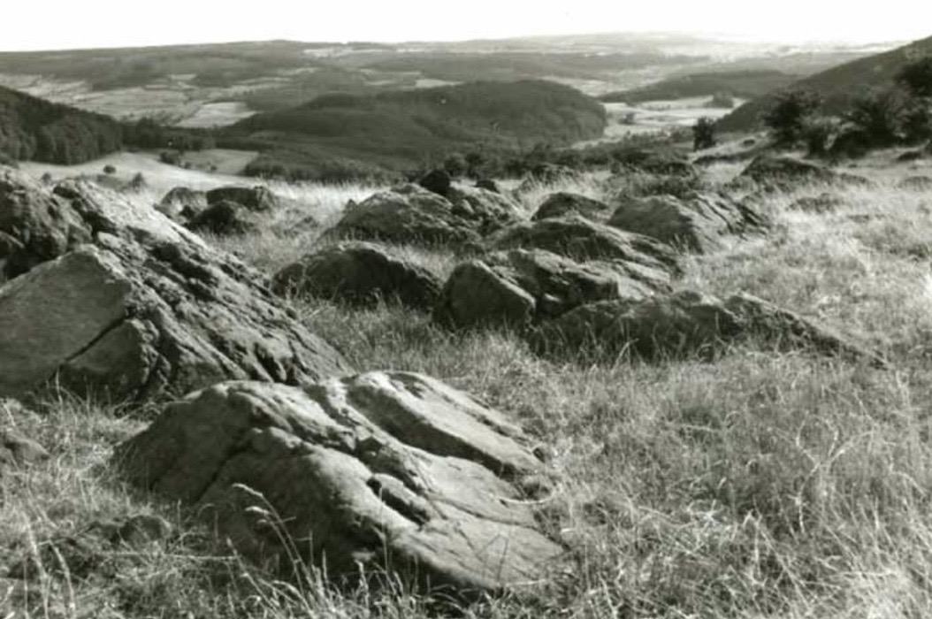 20241025 Heiligenborn Felsenlandschaft Heiligenborn